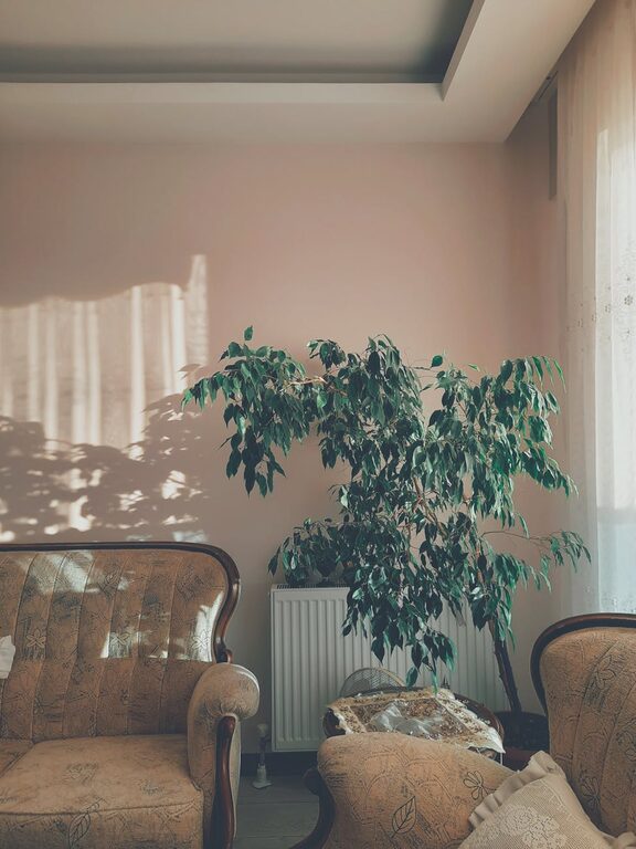 Simple Tips for Creating a Cozy and Inviting Home Environment